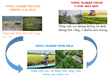 Nông nghiệp dafabet link thái – Hướng đi tất yếu cho nền nông nghiệp Việt Nam