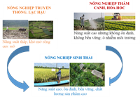Nông nghiệp sinh thái – Hướng đi tất yếu cho nền nông nghiệp Việt Nam