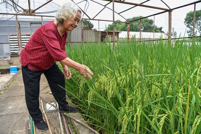 dafabet khuyến mãi