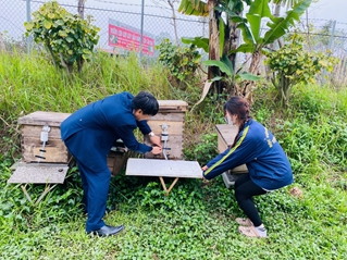 Đưa công nghệ số phát triển ngành ong Việt