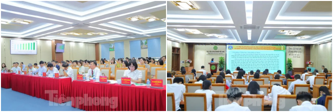 dafabet khuyến mãi