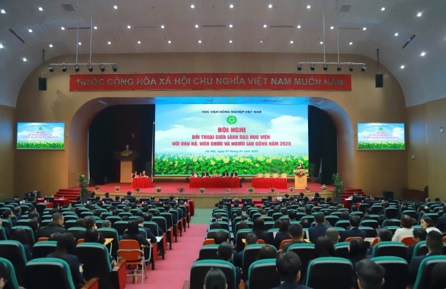 dafabet khuyến mãi