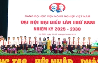 GS TS Nguyễn Thị Lan được bầu là Bí thư Đảng ủy Học viện Nông nghiệp Việt Nam