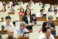 ĐBQH bắt mạch một số lô hàng nông sản không xuất khẩu được