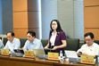 ĐBQH Nguyễn Thị Lan có góp ý về một số dự án luật
