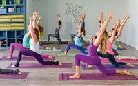 Tổng quan Lợi ích của việc tập luyện môn thể thao Yoga