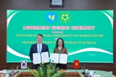 Học viện Nông nghiệp Việt Nam và Đại học Honam hợp tác thúc đẩy đào tạo quốc tế và giao lưu văn hóa