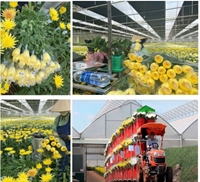 Sinh viên ngành Nông nghiệp công nghệ cao thực tập tại Đà Lạt Hasfarm