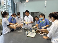 Từ biên cương Tổ quốc đến giảng đường Thú y một hành trình không rời trách nhiệm