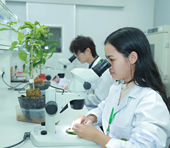 Hành trình từ ruộng nương Lâm Đồng đến tấm bằng xuất sắc ngành Bảo vệ thực vật