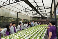 Trải nghiệm nông nghiệp – Hành trình học tập thực tế của học sinh Trường Phổ thông Liên cấp Olympia