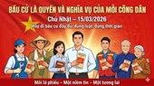 Quy trình bỏ phiếu bầu cử đại biểu Quốc hội khóa XVI và đại biểu Hội đồng nhân dân các cấp nhiệm kỳ 2026-2031