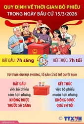 Một số điểm lưu ý về bỏ phiếu bầu cử đại biểu Quốc hội khóa XVI và đại biểu Hội đồng nhân dân các cấp nhiệm kỳ 2026-2031