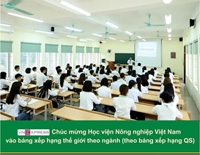 13 đại học Việt Nam vào bảng xếp hạng thế giới theo ngành