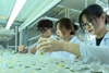 Cơ hội nghề nghiệp của ngành Công nghệ sinh học rất đa dạng