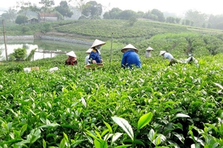 Đại hội Đảng Cộng sản Việt Nam lần thứ XIV Khai sáng và soi đường cho công cuộc tam nông