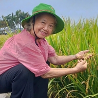 PGS TS nổi tiếng này là người tạo ra bước ngoặt cho dòng lúa lai Việt Nam, là Anh hùng Lao động
