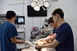 Những ‘việc không nhẹ nhưng lương cao’ trong nông nghiệp ‘Cháy hàng’ sinh viên thú y