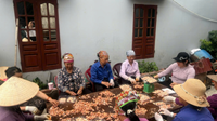 Quan hệ giới và sinh kế nghề cá Góc nhìn từ thực tiễn và những kết quả bước đầu