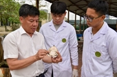 Những việc không nhẹ nhưng lương cao trong nông nghiệp Từ ngành hót chuyển sang  thủy sản
