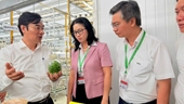 Lãnh đạo Học viện Nông nghiệp Việt Nam thăm Trung tâm Nghiên cứu và Phát triển Hoa, Cây cảnh