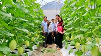 Học viện Nông nghiệp Việt Nam khảo sát thực trạng liên kết sản xuất – Tiêu thụ nông sản tại xã Phú Giáo