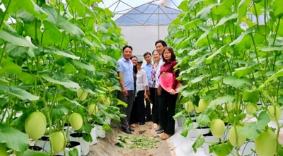 Học viện Nông nghiệp Việt Nam khảo sát thực trạng liên kết sản xuất – Tiêu thụ nông sản tại xã Phú Giáo