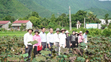 Sen bén rễ vùng cao, mở hướng sinh kế mới cho người dân tỉnh Lào Cai