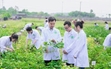 Từ nghịch lý thị trường đến kiến nghị thể chế quản trị đại học trong đào tạo nhân lực nông nghiệp