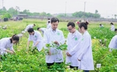 Từ nghịch lý thị trường đến kiến nghị thể chế quản trị đại học trong đào tạo nhân lực nông nghiệp