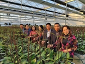 Hiệu quả hỗ trợ công nghệ trong lĩnh vực hoa, cây cảnh từ Chương trình Nông thôn miền núi giai đoạn 2016–2025