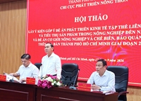 TPHCM tìm lời giải cho bài toán Hợp tác xã vốn nhỏ, khó liên kết chuỗi