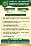 Chương trình học bổng chắp cánh tương lai