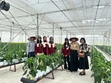 Sinh viên trường IPB Bogor Indonesia trải nghiệm chuỗi giá trị rau, quả tại HTX rau sạch Yên Dũng