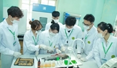 Đại học cần lấy hiệu quả ứng dụng vào thực tiễn làm thước đo nghiên cứu