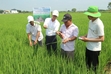 Nông nghiệp trước cuộc chơi các-bon Lợi ích không chỉ từ tín chỉ các-bon