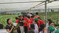 Tham quan, trải nghiệm mô hình sản xuất hoa, cây cảnh tại Trung tâm Nghiên cứu và Phát triển Hoa, Cây cảnh