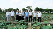 Viện Nghiên cứu Rau quả kết nối, lan tỏa mô hình sản xuất sen đa giá trị từ tỉnh Hưng Yên đến tỉnh Phú Thọ