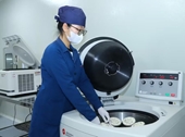 Phát triển doanh nghiệp spin-off và thương mại hóa kết quả nghiên cứu