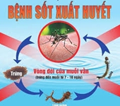 TUYÊN TRUYỀN PHÒNG CHỐNG BỆNH SỐT XUẤT HUYẾT