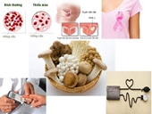 Lợi ích của nấm ăn đối với sức khoẻ con người