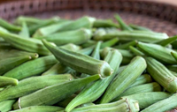 Ai không nên ăn đậu bắp