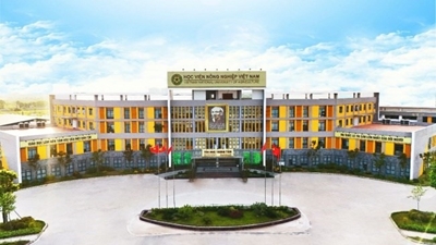 Hướng tới Đại hội đại biểu Đảng bộ Học viện Nông nghiệp Việt Nam Dấu ấn đậm nét về phát triển cơ sở vật chất làm thay đổi diện mạo, tầm vóc của Học viện