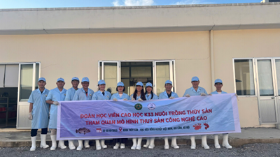 Chương trình cao học Nuôi trồng thủy sản Đào tạo thực tế, gắn kết với thực tiễn