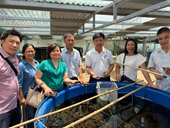 Cơn khát nguồn nhân lực chất lượng cao của ngành thủy sản Cả cung và cầu đều thiếu