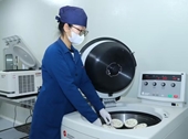 Phát triển doanh nghiệp spin-off và thương mại hóa kết quả nghiên cứu