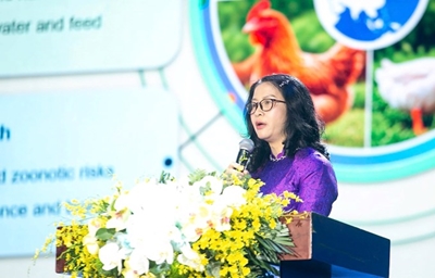 Giám đốc Học viện Nông nghiệp Việt Nam Không thể chuyển đổi ngành chăn nuôi nếu người chăn nuôi nhỏ bị bỏ lại phía sau