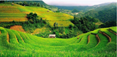 Các phương pháp đánh giá thoái hóa đất