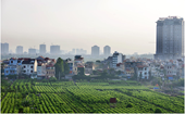 Thực trạng và đề xuất chính sách phát triển nông nghiệp đô thị thành phố Hà Nội