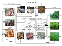 Nghiệm thu nhiệm vụ cấp Bộ  ứng dụng kỹ thuật kiểm toán chất thải và đề xuất các biện pháp giảm thiểu chất thải trong chăn nuôi lợn